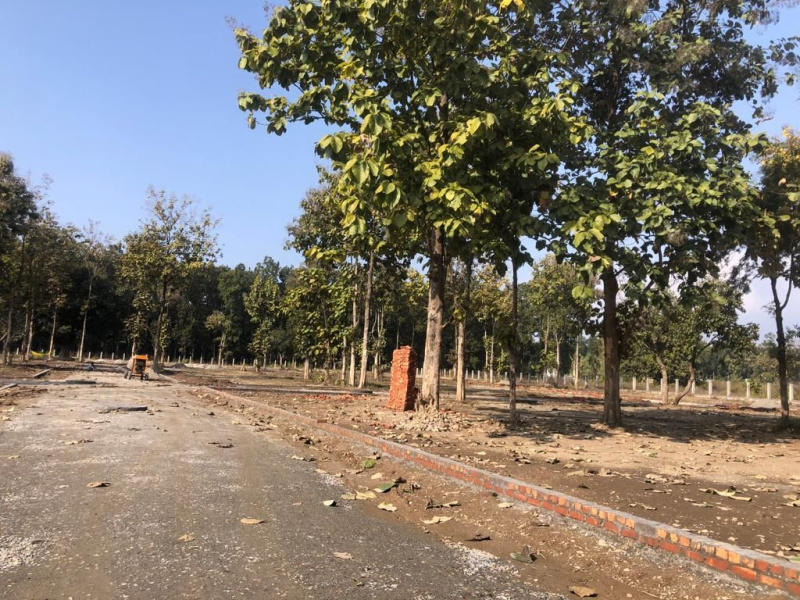 Additional image 2 of Pondha, Dehradun