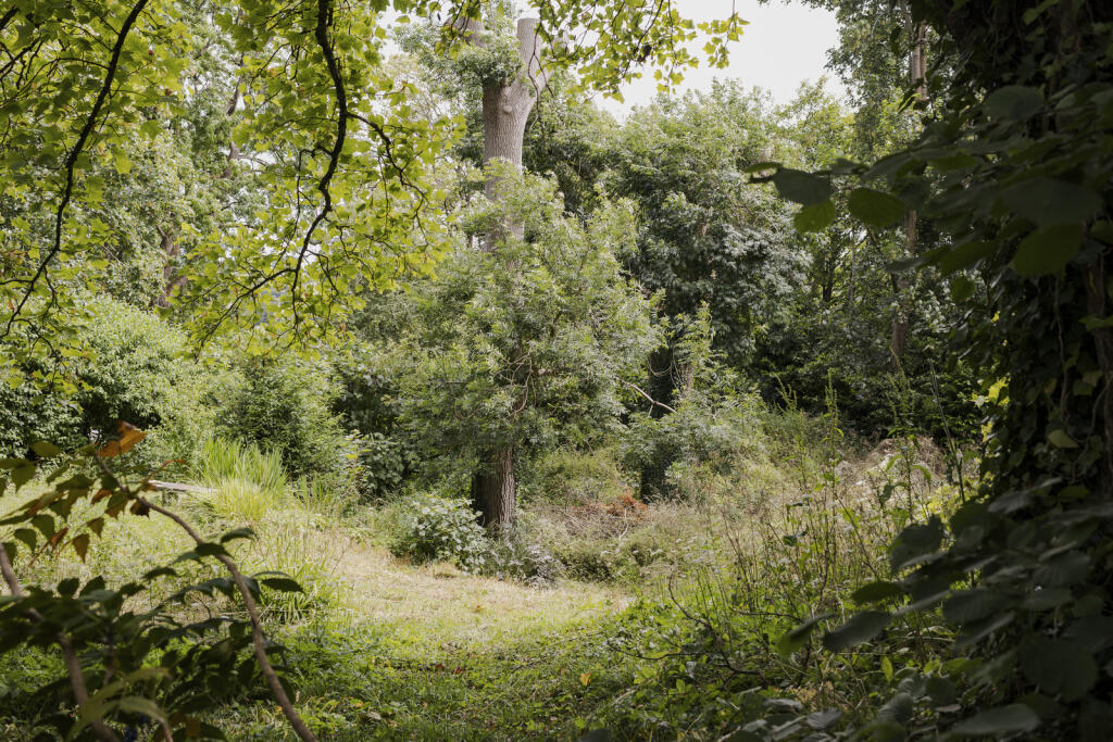 Additional image 33 of Bratton House, Bratton Seymour, Somerset