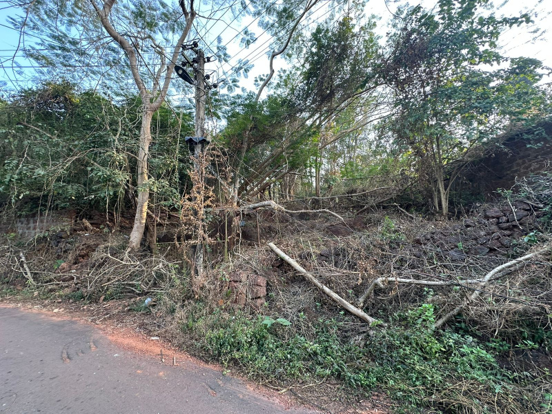 Additional image 3 of Aldona, Goa