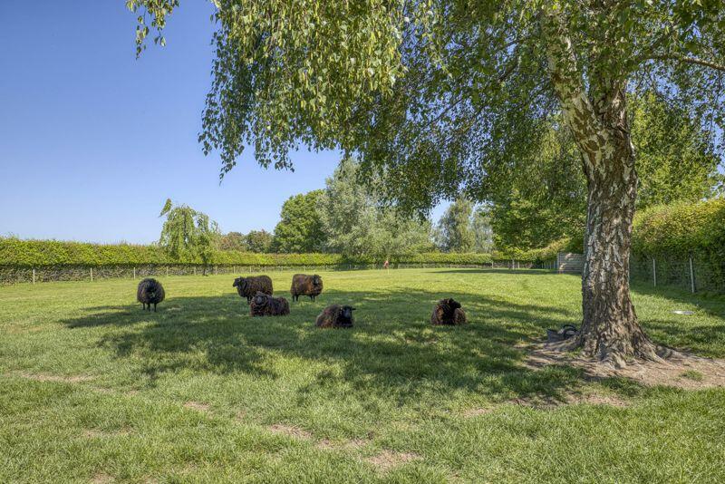 Additional image 30 of South Barrow  - Castle Cary