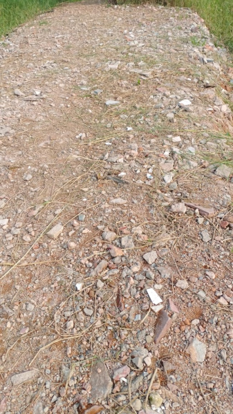 Additional image 3 of Joka, Kolkata