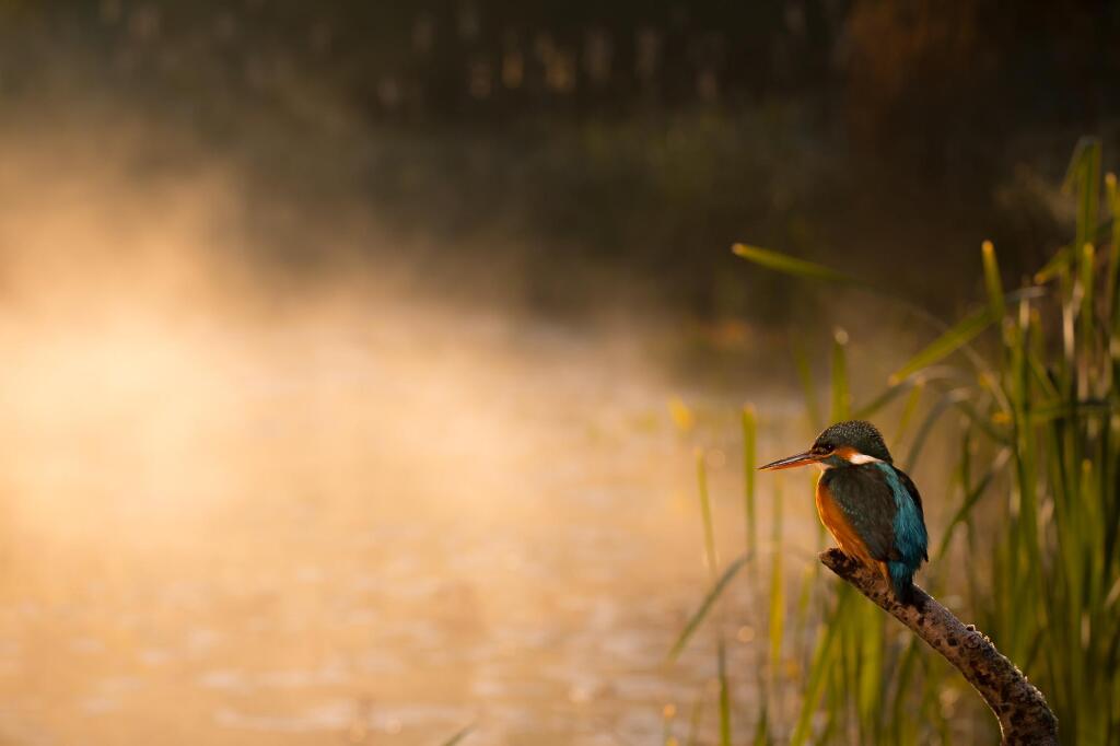 Additional image 3 of Near Wellow and Bath, Somerset, BA3