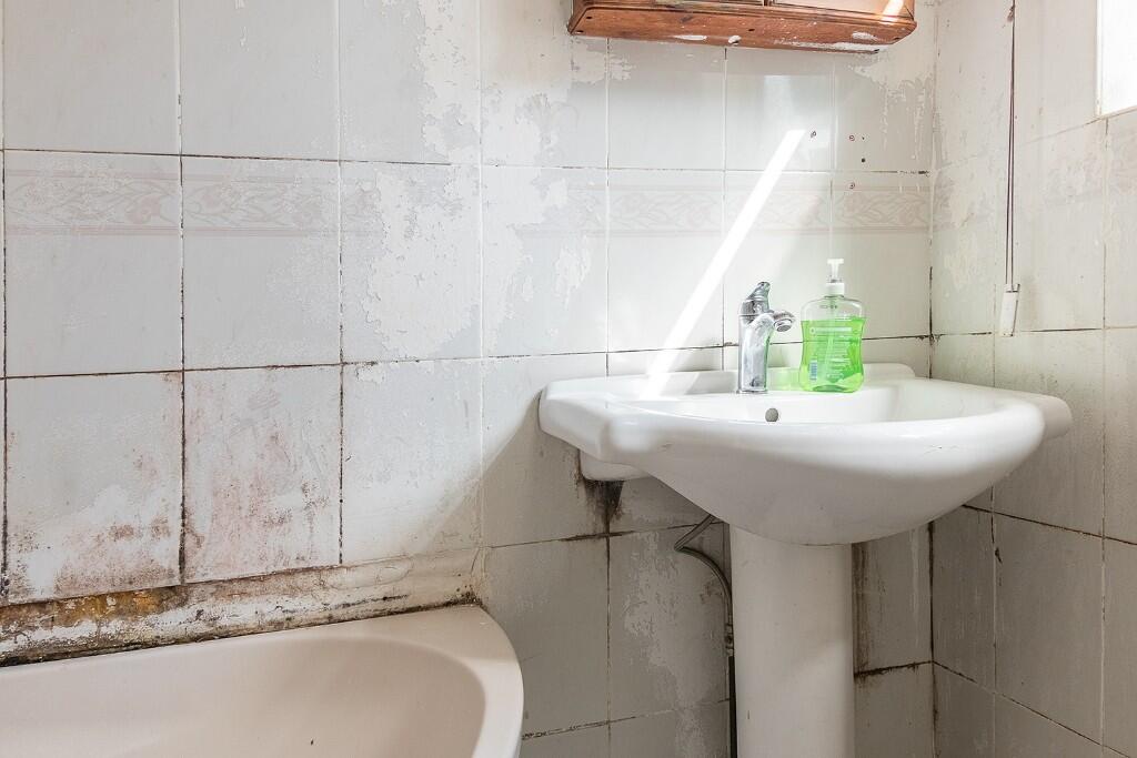 Additional image 14 of Third Avenue, Birmingham, B9