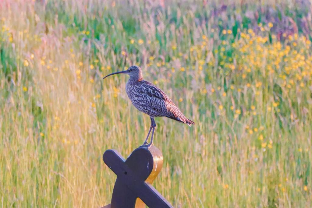 Additional image 63 of Weasel Lane, Tockholes, Darwen
