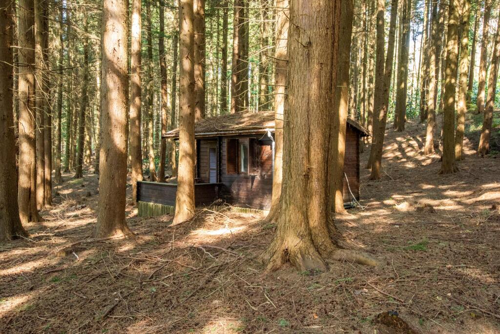 Additional image 16 of Pen Selwood, Wincanton, Somerset, BA9