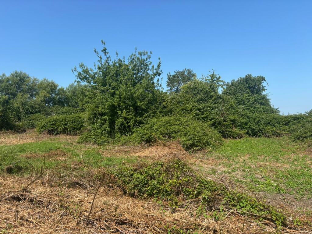 Additional image 9 of Glastonbury Road, Meare, BA6