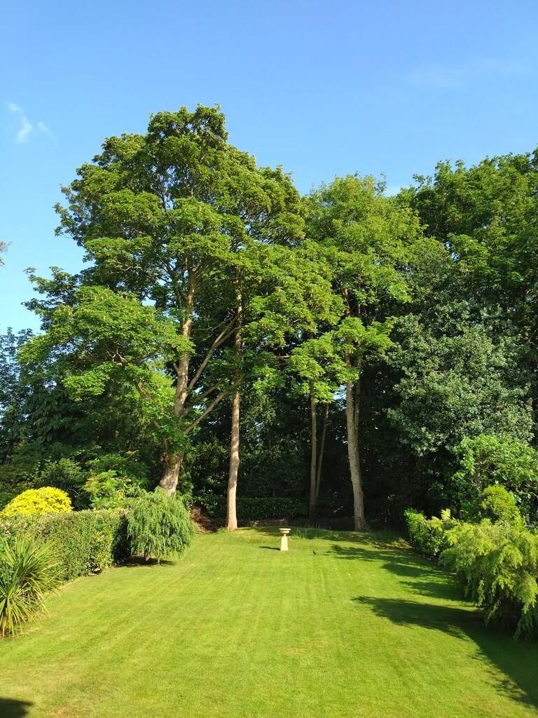 Additional image 14 of Essex Road, Four Oaks