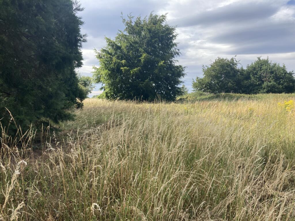 Additional image 5 of Worcester Rd, Bromsgrove, B61