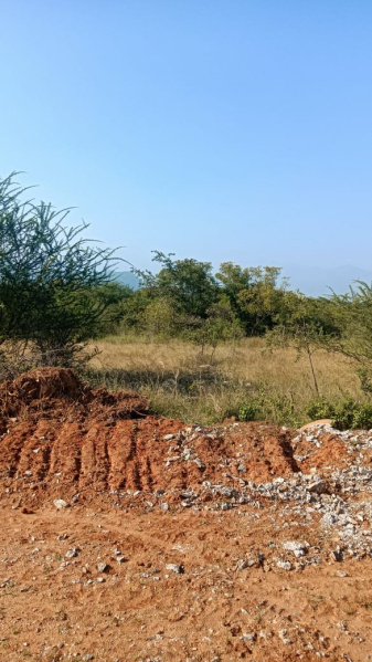 Mettupalayam Coimbatore, Coimbatore