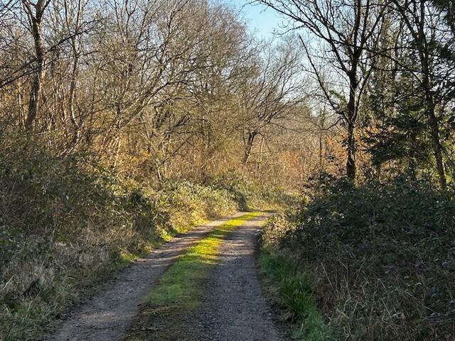 Additional image 4 of Land at Pinkwood, North Brewham, BA10 0QN