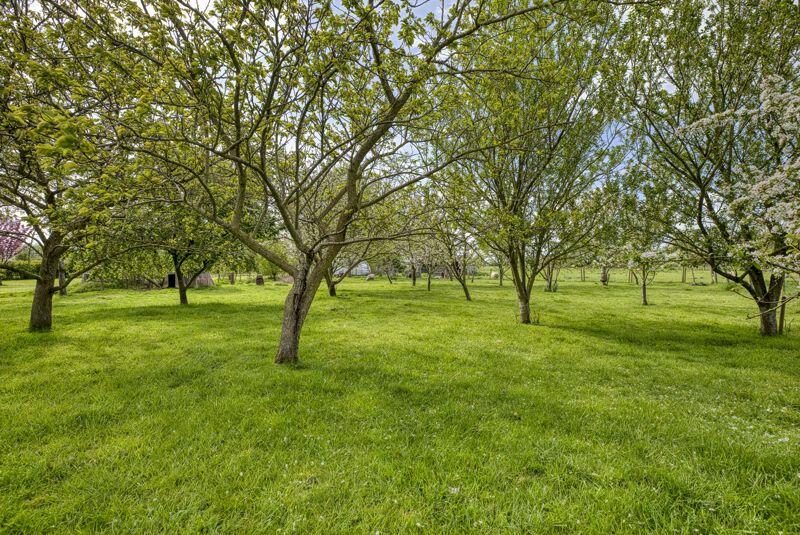 Additional image 32 of Lower Godney, Wells