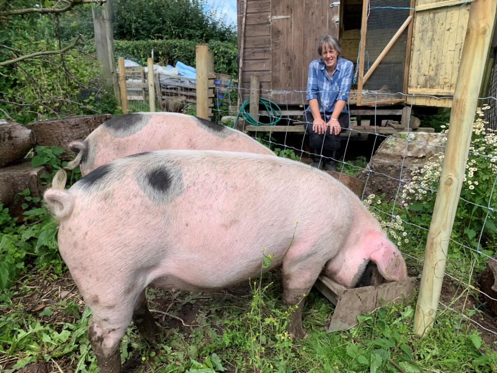 Additional image 9 of Earlswood WEST MIDLANDS