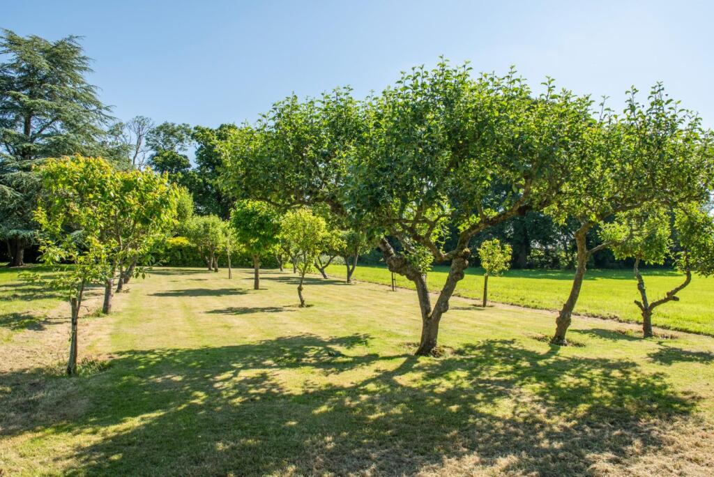 Additional image 5 of Thorne, Somerset