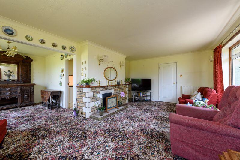 Additional image 6 of Holt