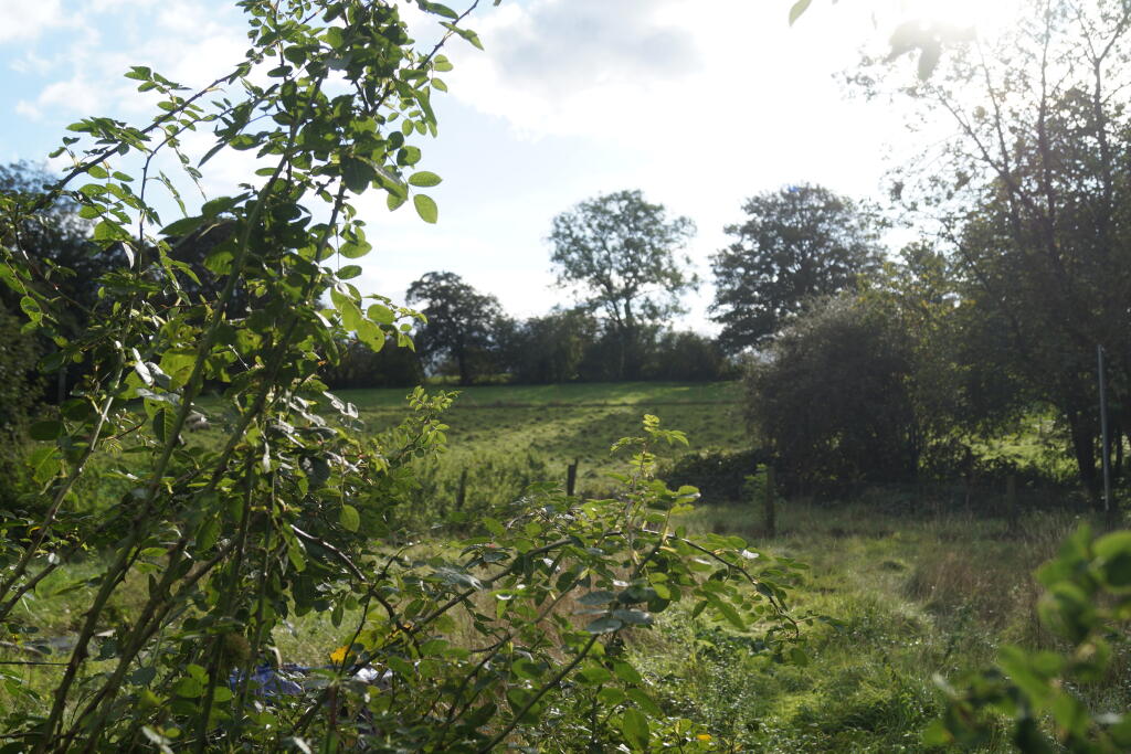 Additional image 12 of Priddy, Somerset