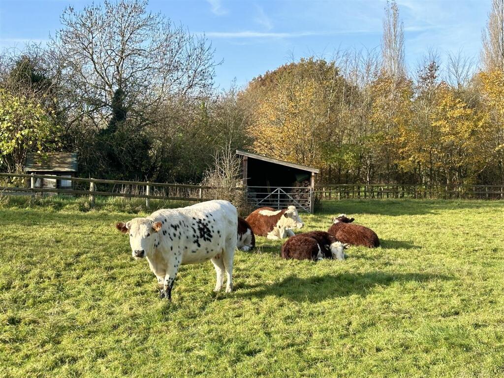 Additional image 25 of Hadrians Walk, Alcester