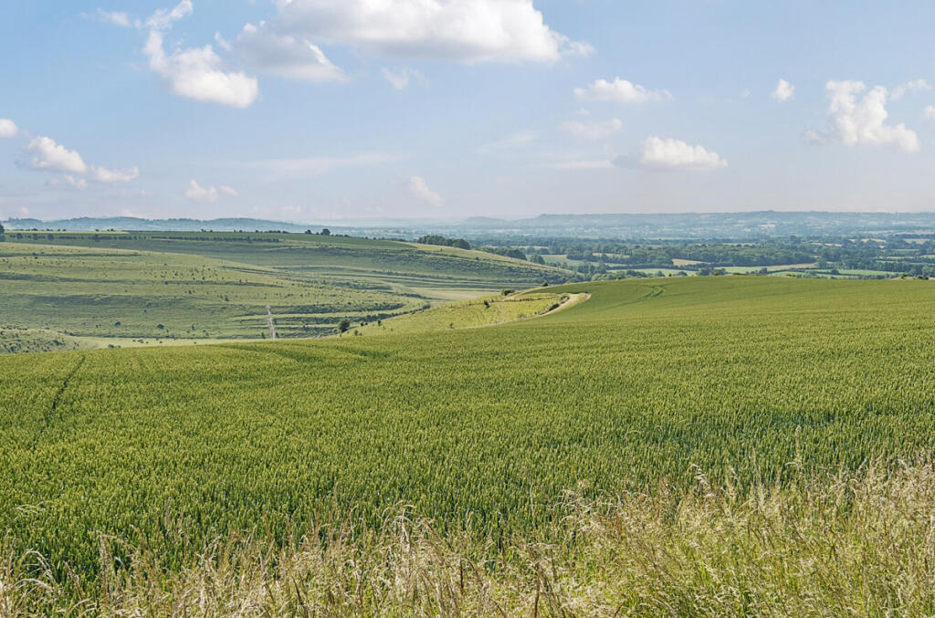Additional image 15 of The Square, Mere, Warminster, BA12