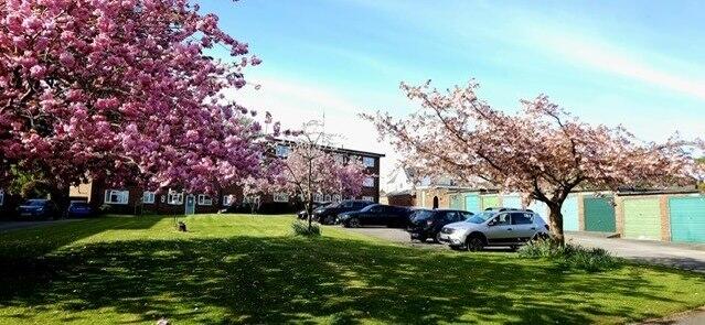 Additional image 21 of Hill Village Road, Four Oaks, Sutton Coldfield, B75