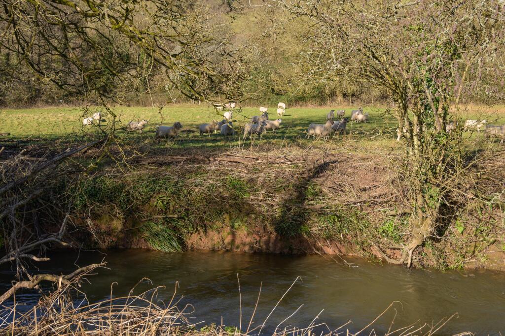 Additional image 26 of Near Wellow and Bath, Somerset, BA3