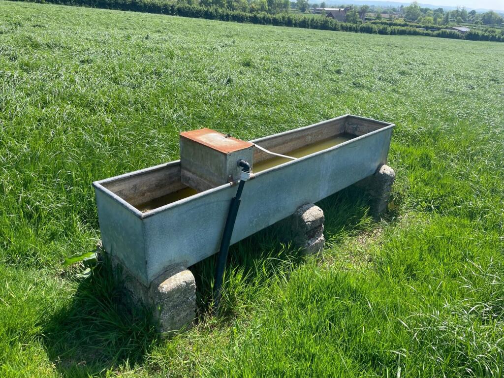 Additional image 6 of Withial, East Pennard, BA4