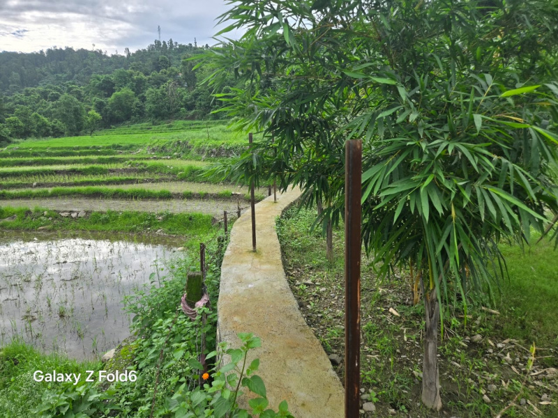 Additional image 2 of Thano, Dehradun