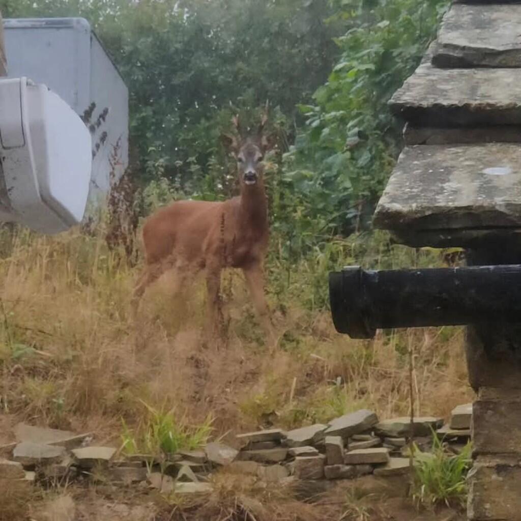 Additional image 26 of Close Head, Thornton, Bradford