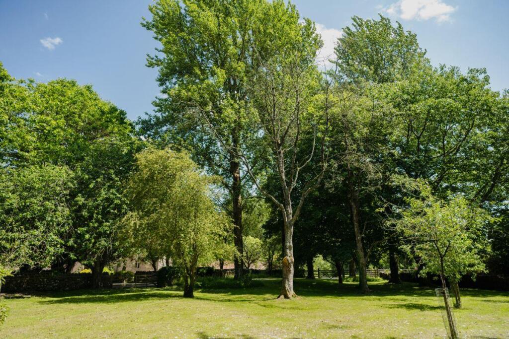 Additional image 34 of Frome, Somerset