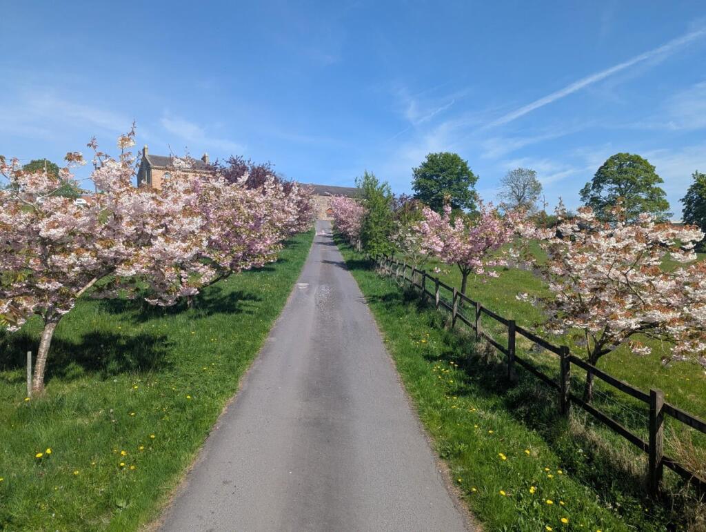 Additional image 17 of Pasture Lane, Barrowford