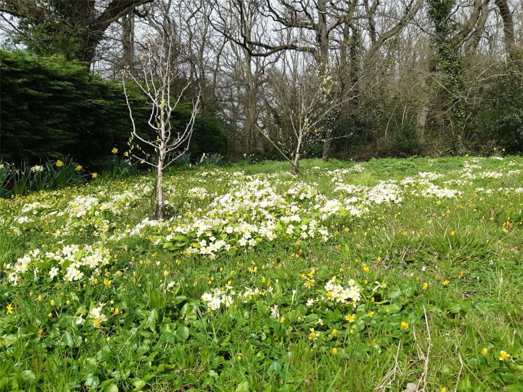 Additional image 22 of Hardington Moor, Yeovil, Somerset, BA22