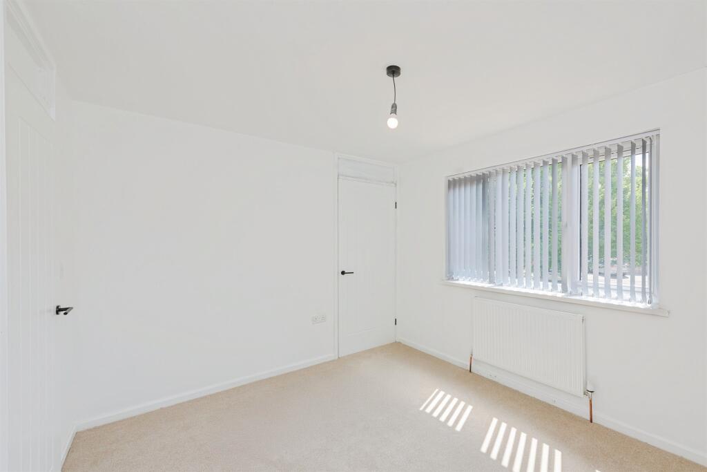 Additional image 15 of Hornbeam, TAMWORTH