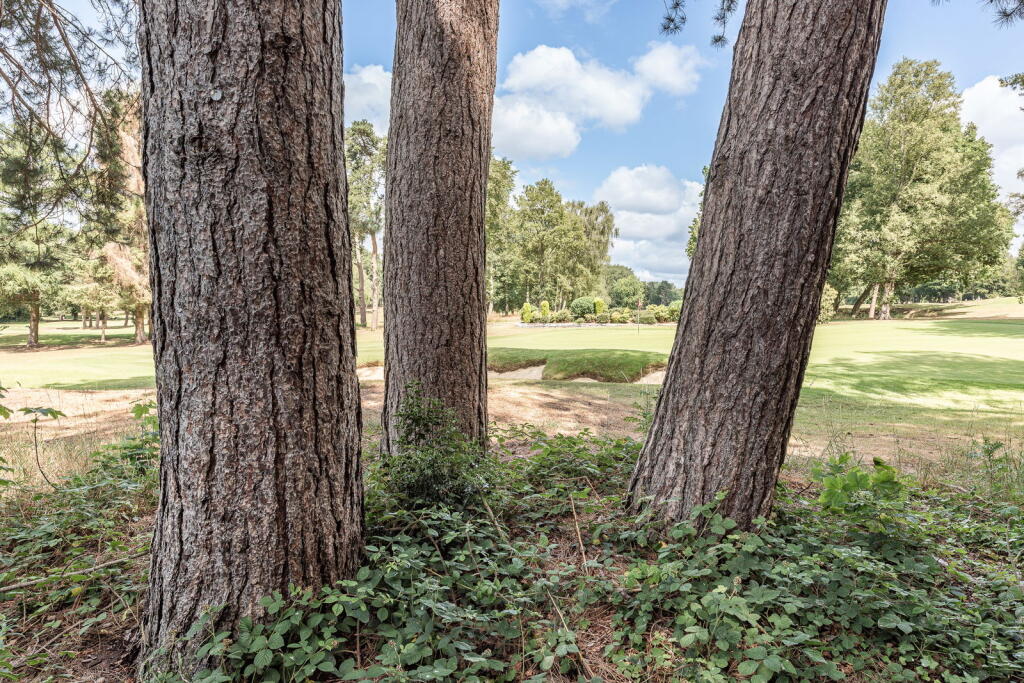 Additional image 67 of Tamworth Road, Sutton Coldfield, B75 6DJ