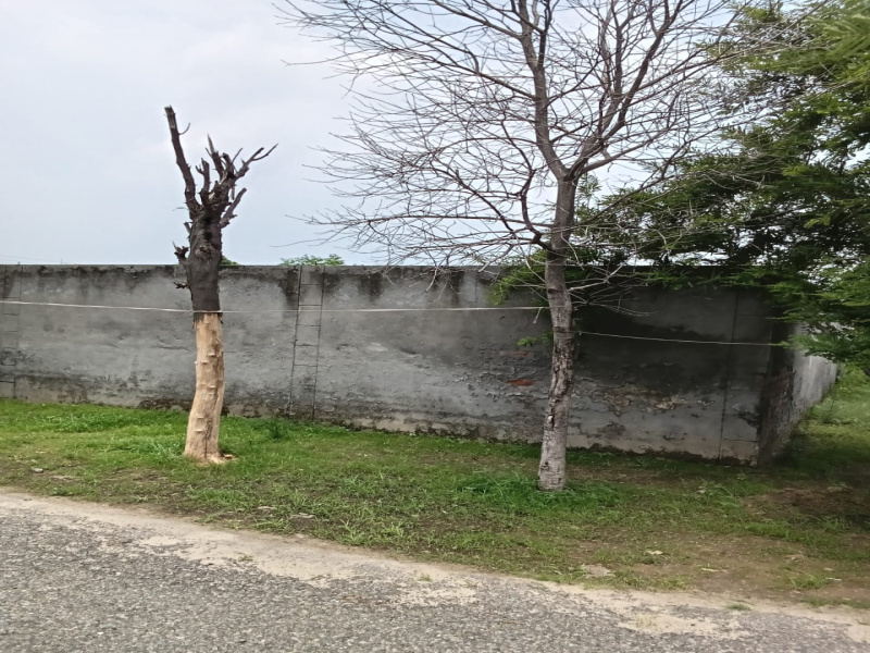 Additional image 3 of Narangpur, Jalandhar