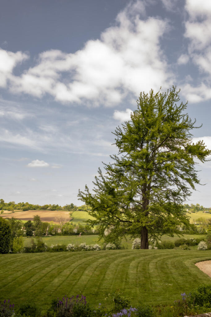 Additional image 4 of Frome, Somerset