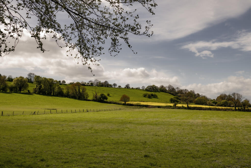 Additional image 31 of Annis Hill House, West Camel, Somerset