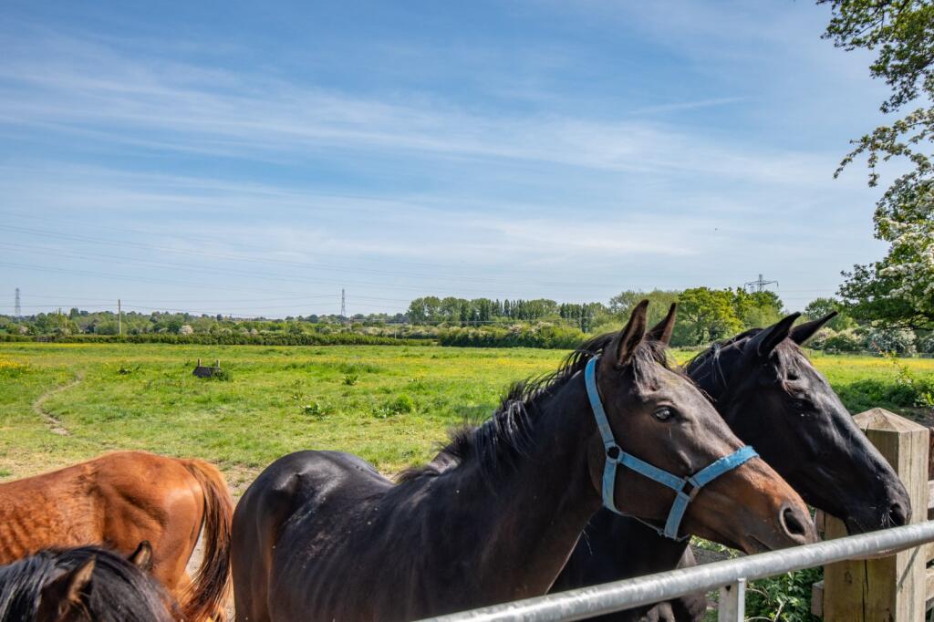 Additional image 18 of Rectory Lane, Upton Warren, Bromsgrove, Worcestershire, B61