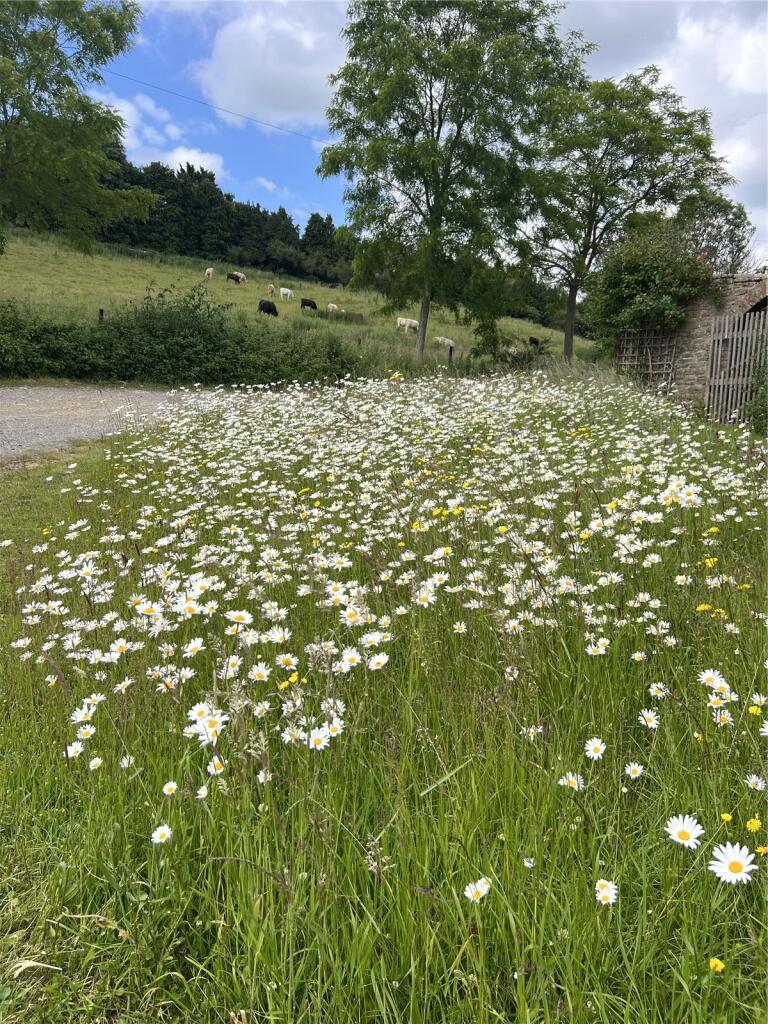 Additional image 2 of Tyning Hill, Hemington, Radstock, Somerset, BA3