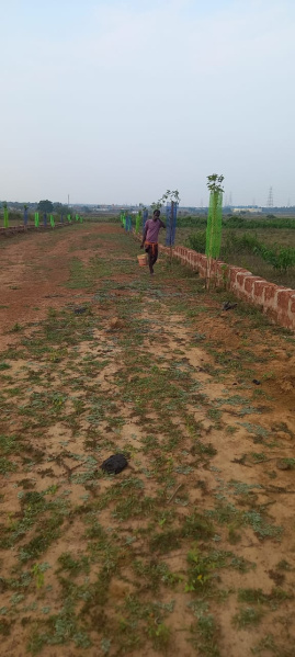 Additional image 3 of Gangapada, Bhubaneswar