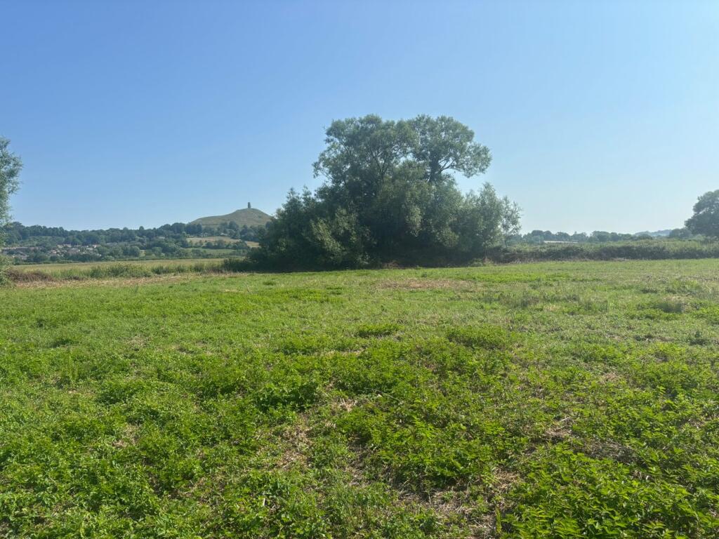Additional image 4 of Cowbridge Road, Glastonbury , BA16