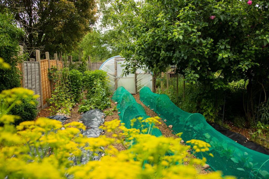 Additional image 6 of Earlswood WEST MIDLANDS