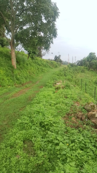 Additional image 3 of Sattal Road, Nainital