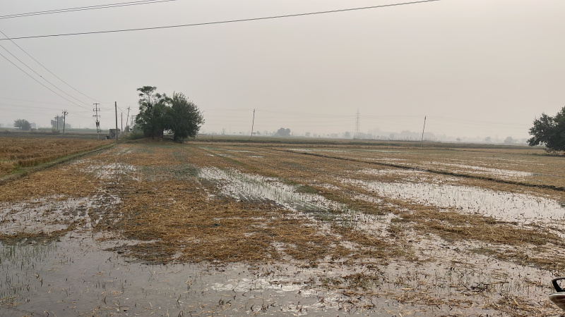 Lalton Kalan, Ludhiana