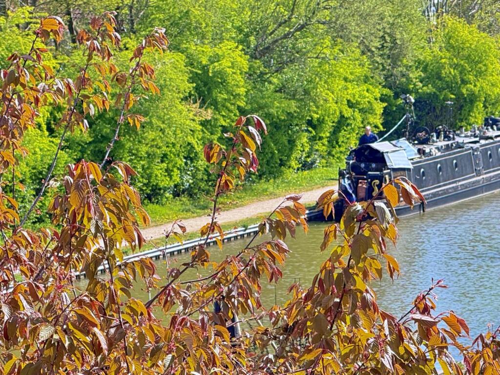 Additional image 11 of Evans Croft, Fazeley, Tamworth