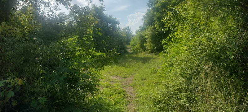 Property image for Pillaiyarkuppam, Pondicherry