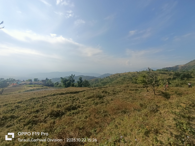 Additional image 2 of Selaqui, Dehradun