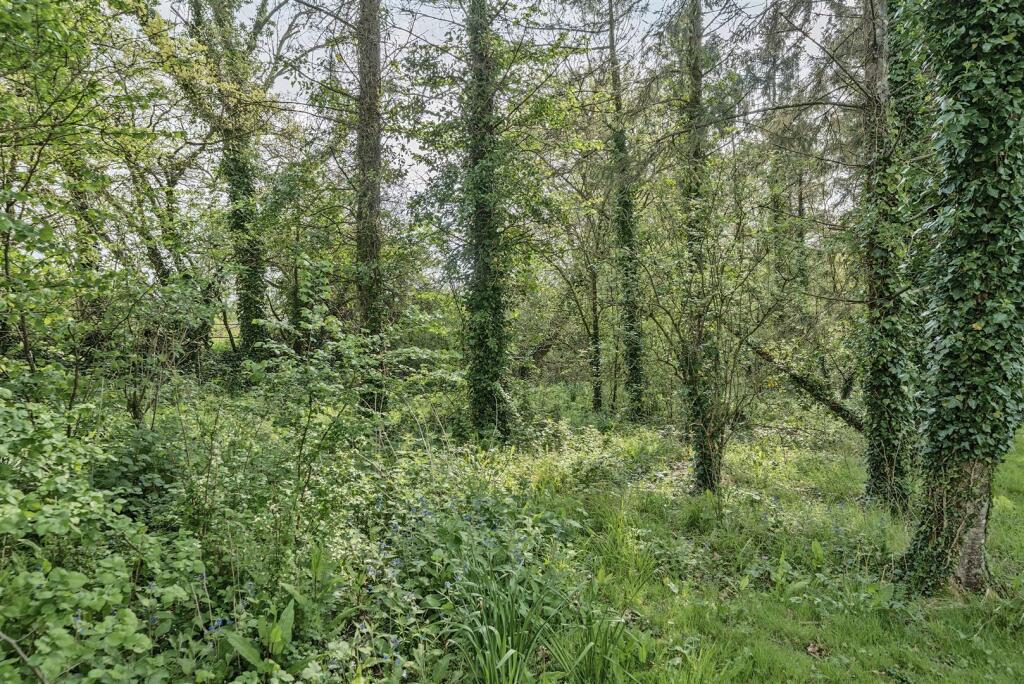 Additional image 41 of East Coker, Yeovil