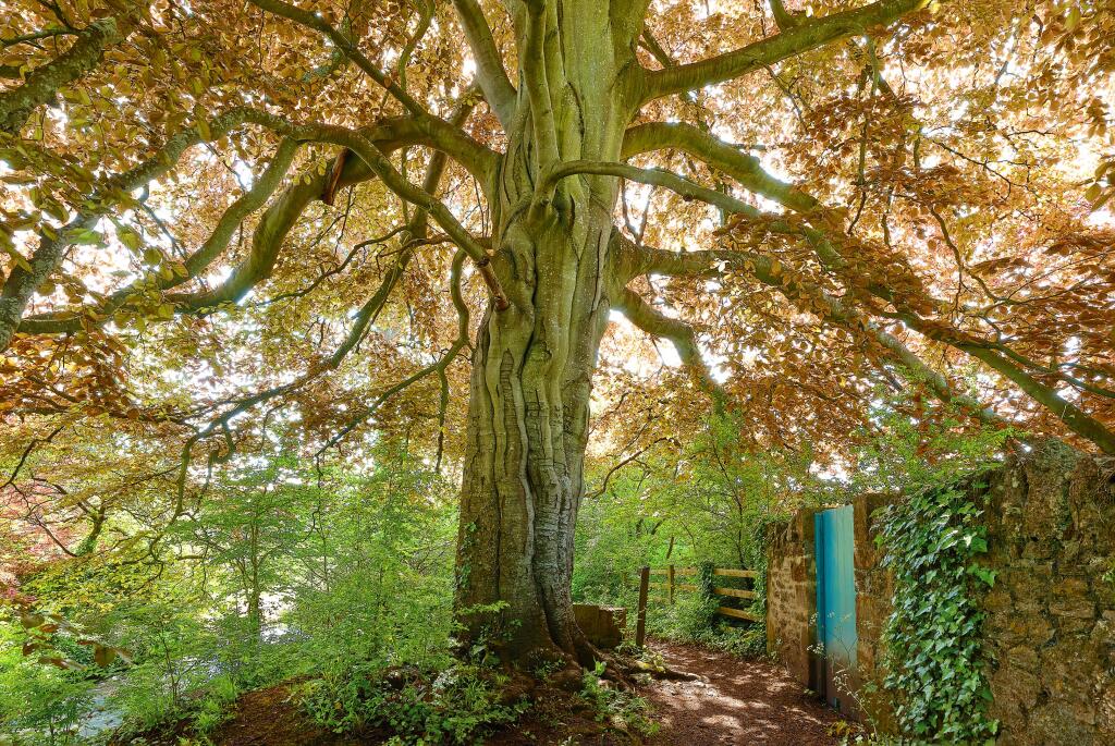 Additional image 27 of Preywater Road, Wookey, Wells, BA5