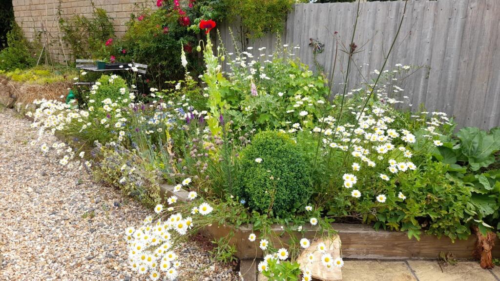 Additional image 13 of Holywell, East Coker, Yeovil, Somerset, BA22