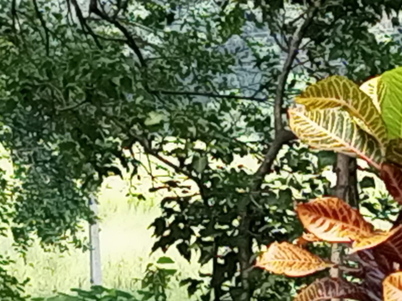 Additional image 2 of Tivim, North Goa, Goa