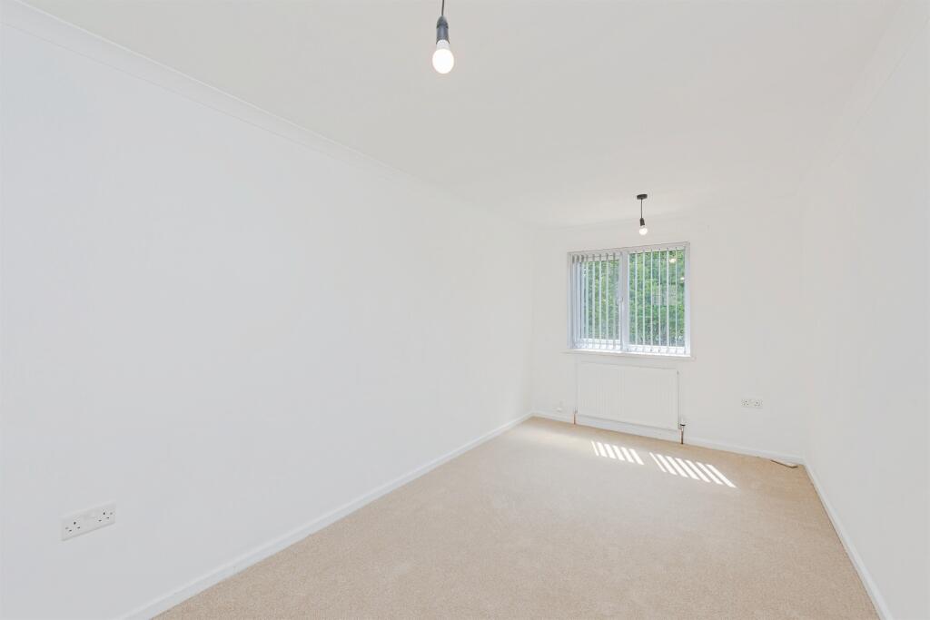 Additional image 10 of Hornbeam, TAMWORTH