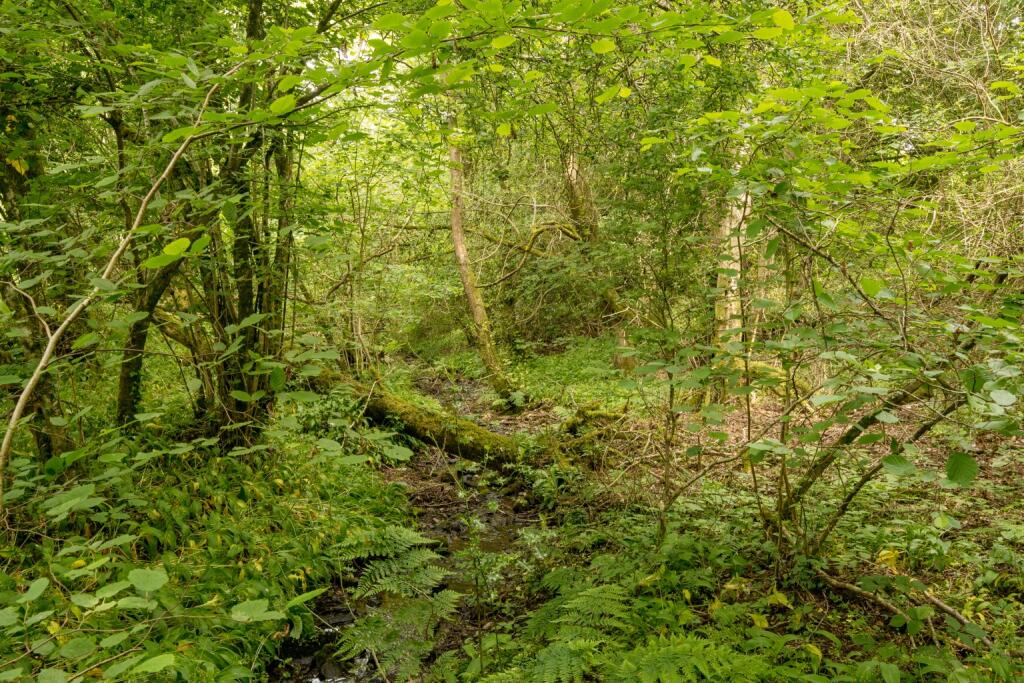 Additional image 25 of Tadhill, Leigh Upon Mendip